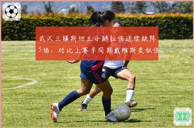 武汉三镇斯坦丘小腿拉伤连续缺阵5场，对比上赛季同期戴维斯类似伤情多休一轮