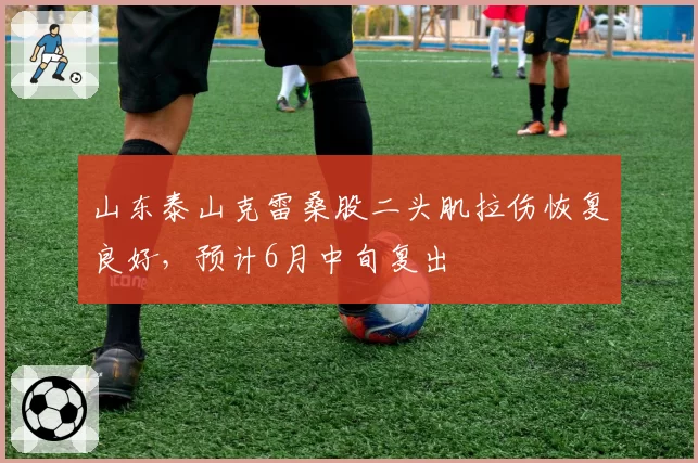 山东泰山克雷桑股二头肌拉伤恢复良好，预计6月中旬复出