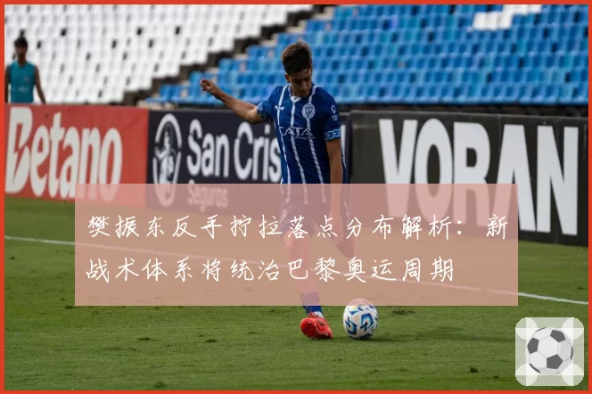 樊振东反手拧拉落点分布解析：新战术体系将统治巴黎奥运周期